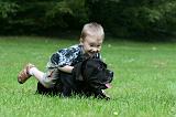 ENFANT ET CHIEN 501